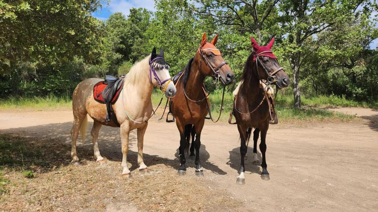 La Cabane Aux Chevaux Varages Εξωτερικό φωτογραφία