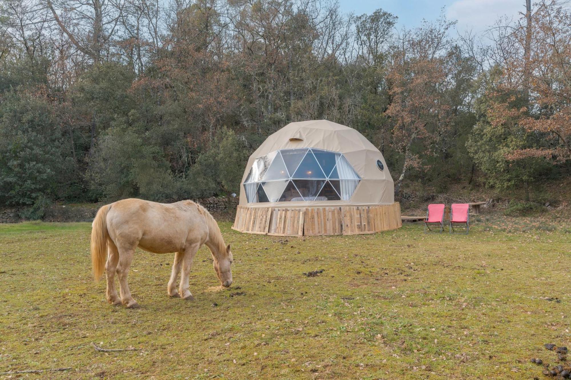 La Cabane Aux Chevaux Varages Εξωτερικό φωτογραφία
