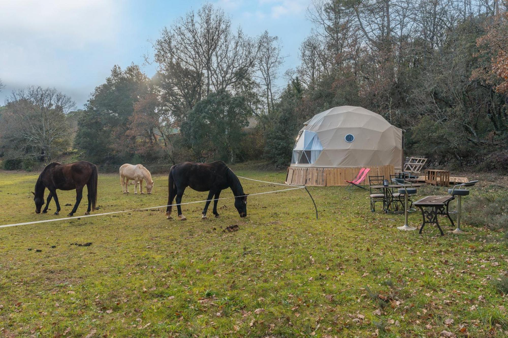 La Cabane Aux Chevaux Varages Εξωτερικό φωτογραφία